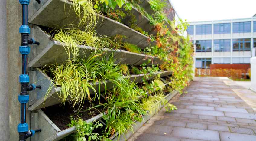 Vertical Garden